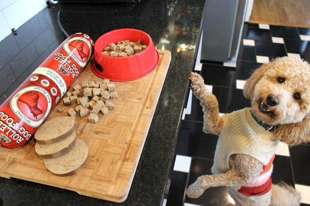 Redbarn Premium Rolled Dog Food Beef Recipe used as training treat or topper.