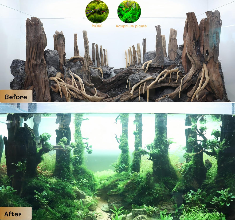 Redfeiyang driftwood branch turtle setup sturdy decor for terrariums