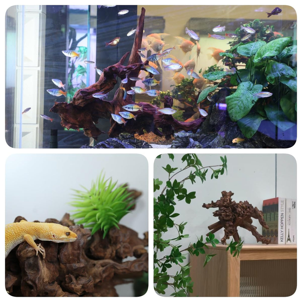 Redfeiyang driftwood branches in a reptile tank provide climbing perches and enrichment.