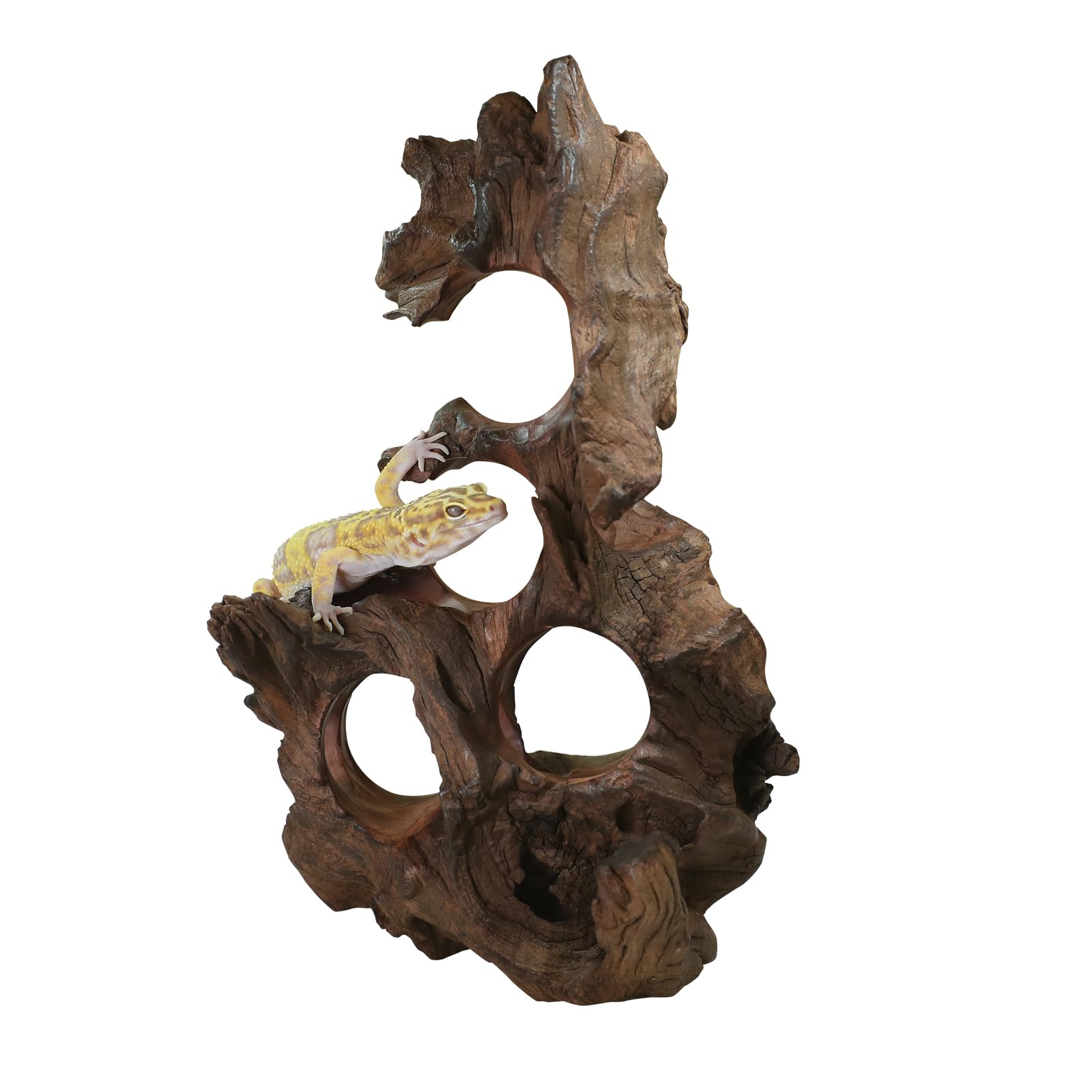 Redfeiyang driftwood pre-treatment helps ready-to-use decor by reducing tannins.