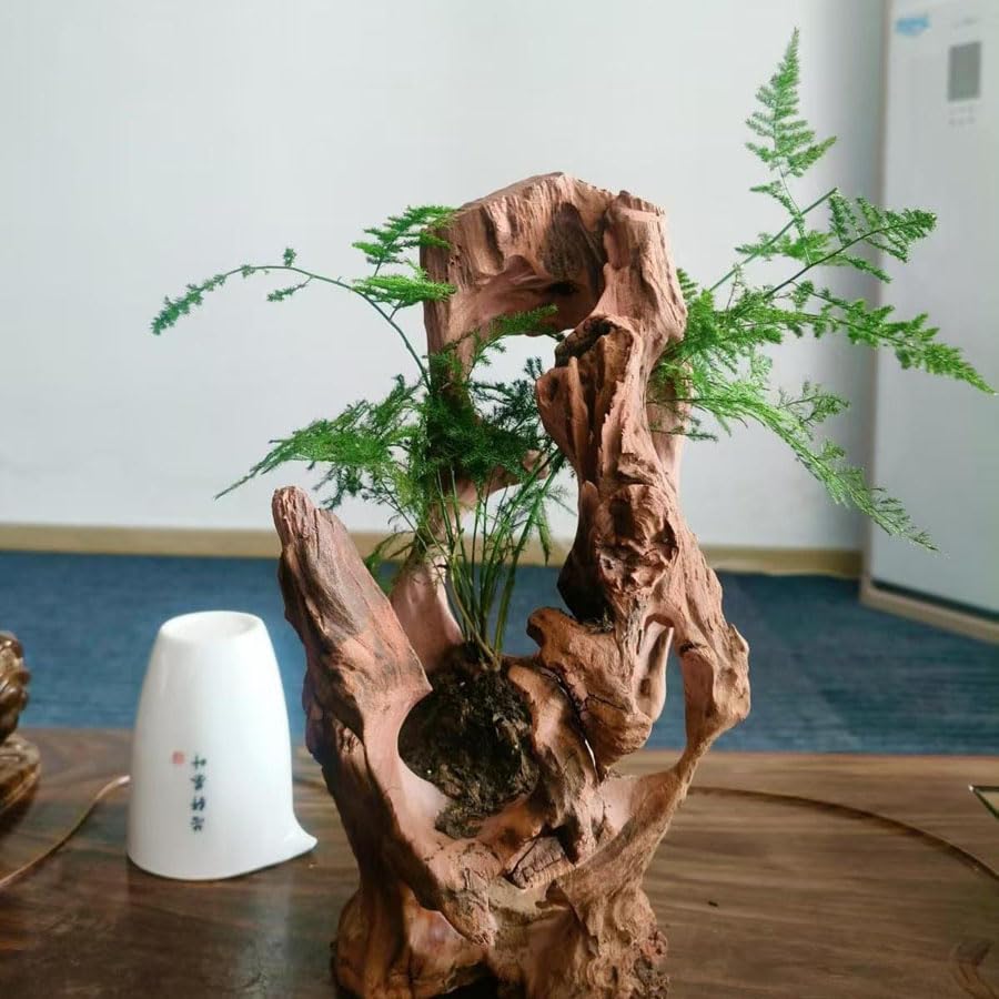 Redfeiyang reptile hideout offers textured enrichment for terrariums and aquariums.