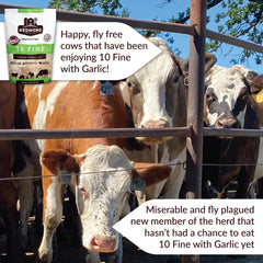 Redmond 10 Fine with Garlic being dispensed for cattle mineral intake and pest control