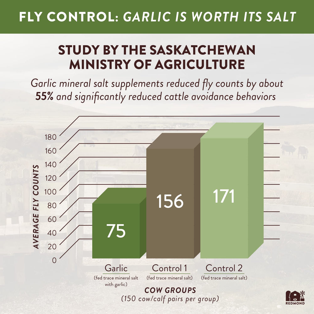 Redmond 10 Fine with Garlic on farm providing minerals and pest deterrence