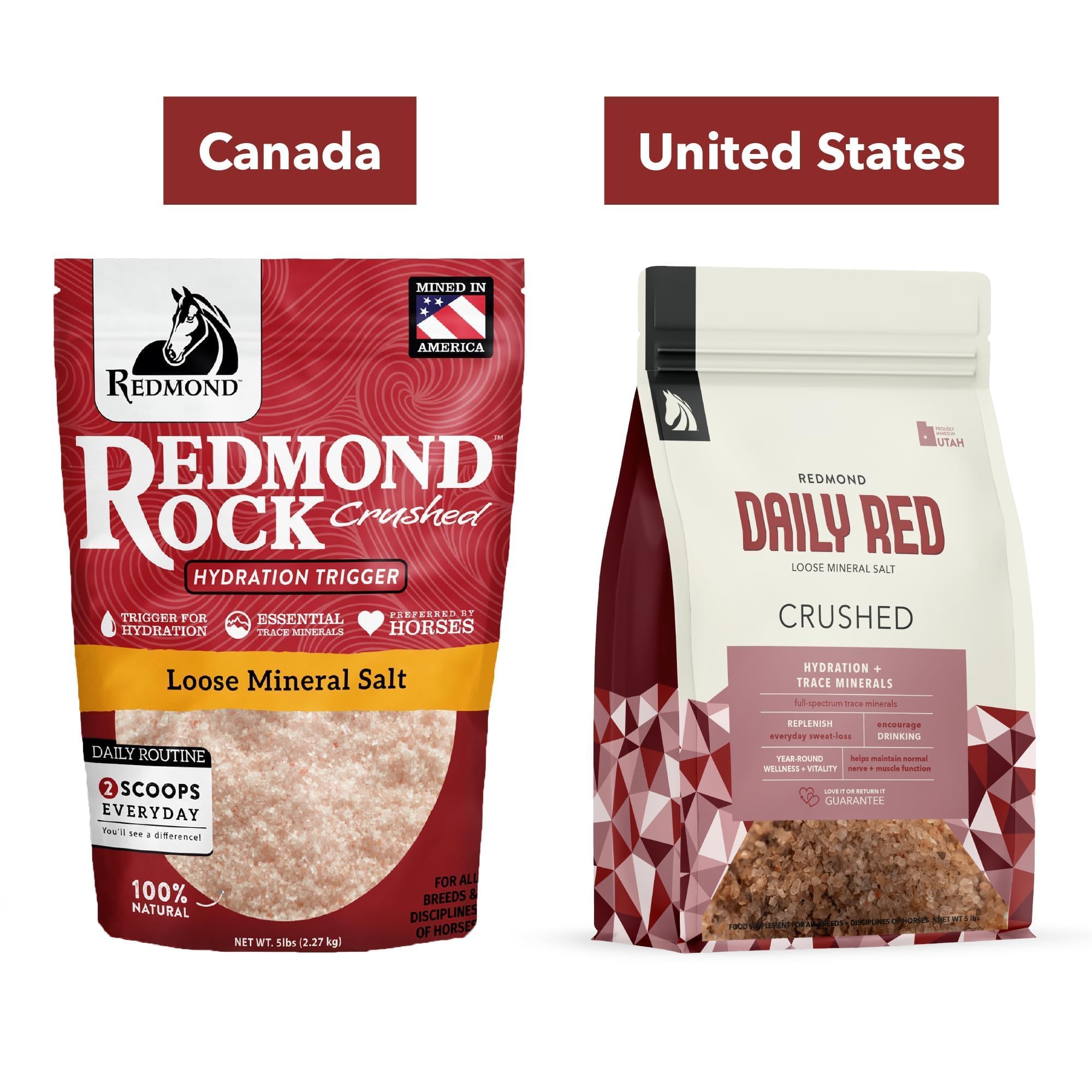 Redmond Daily Red Crushed in stable with horses.