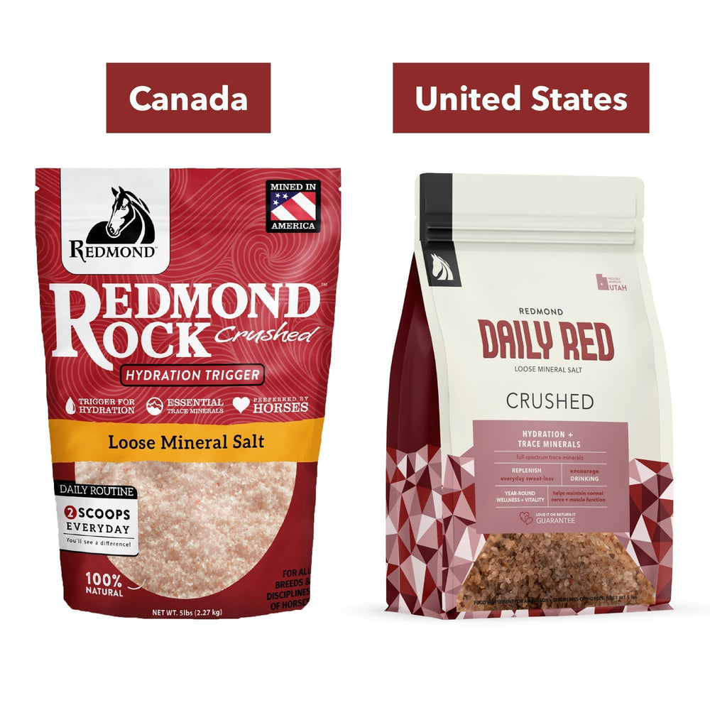 Redmond Daily Red Crushed in stable with horses.
