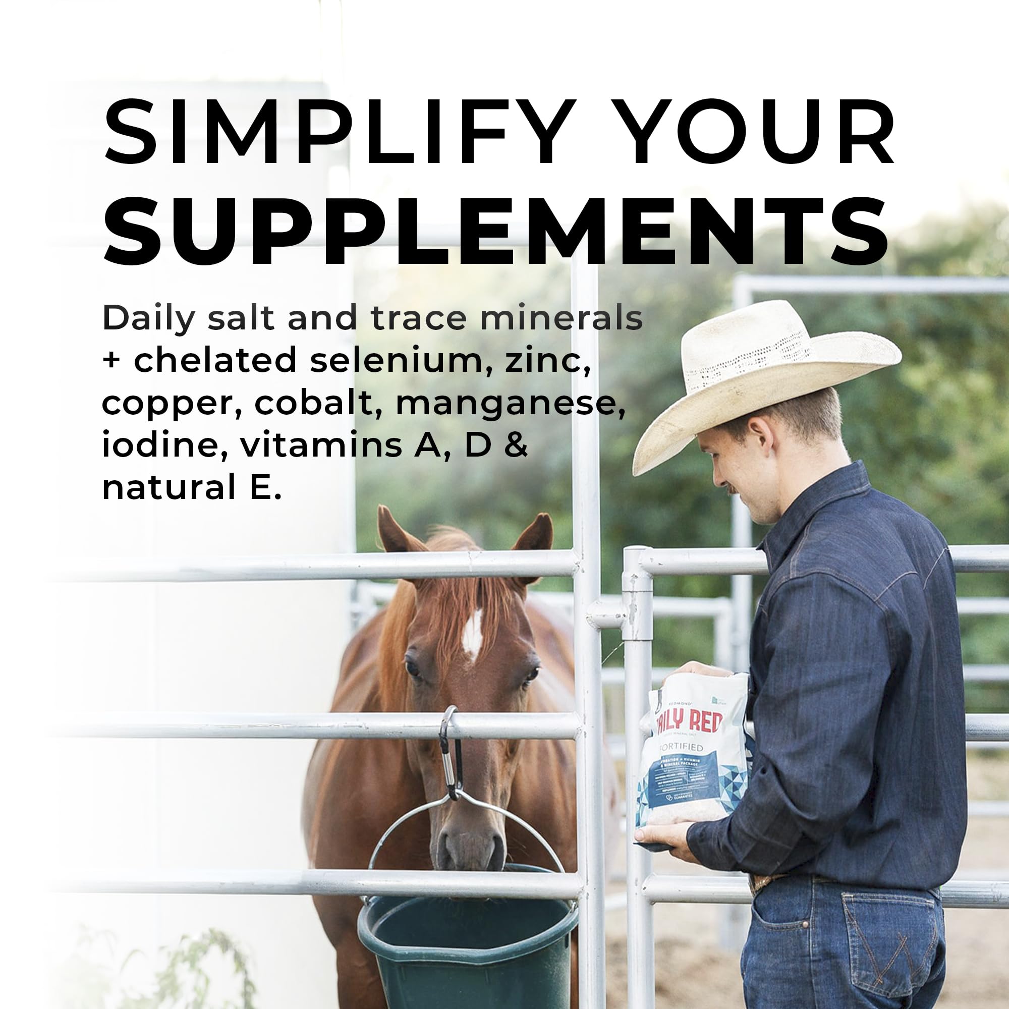 Redmond Daily Red scoop for consistent, measured servings