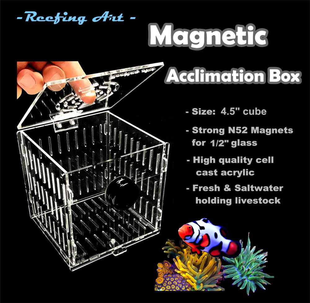 Reefing Art 4.5-inch cube in-tank display setup for quarantine, display, or refugium