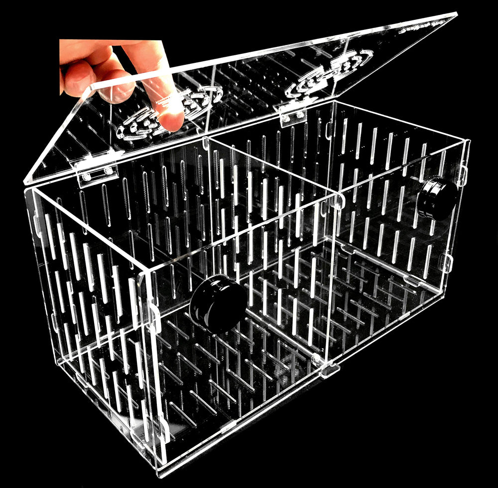 Reefing Art acclimation box hanger setup demonstrates secure mounting for rimless tanks.