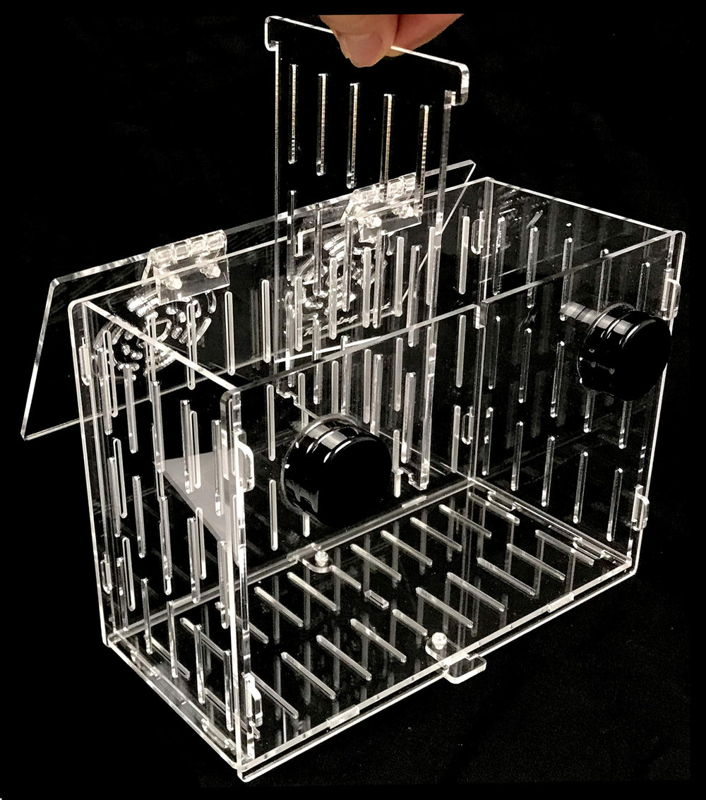 Reefing Art in-tank use demonstrates refugium or media basket versatility.