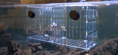Reefing Art aquarium magnets provide strong hold on glass tanks.