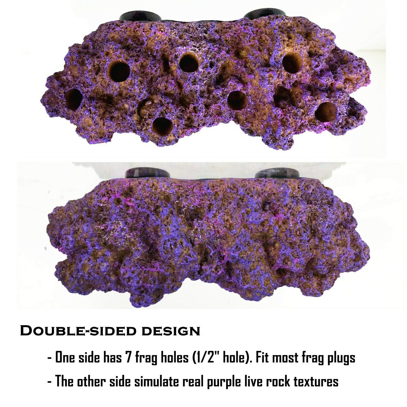 Reefing Art coralline purple finish enhances reef aesthetics while frags remain accessible.