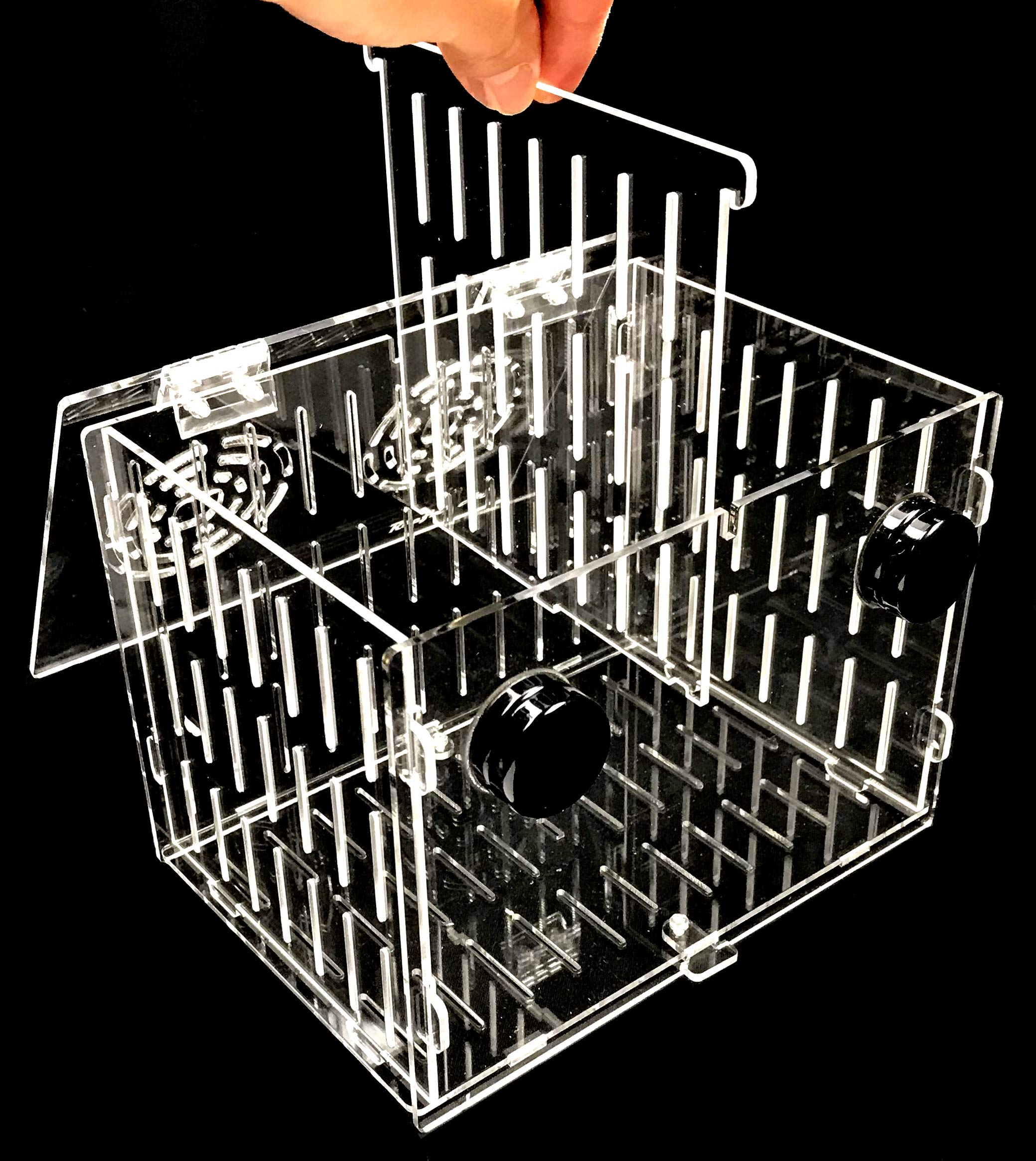 Reefing Art magnetic acclimation box assembly view highlighting easy setup for new arrivals.