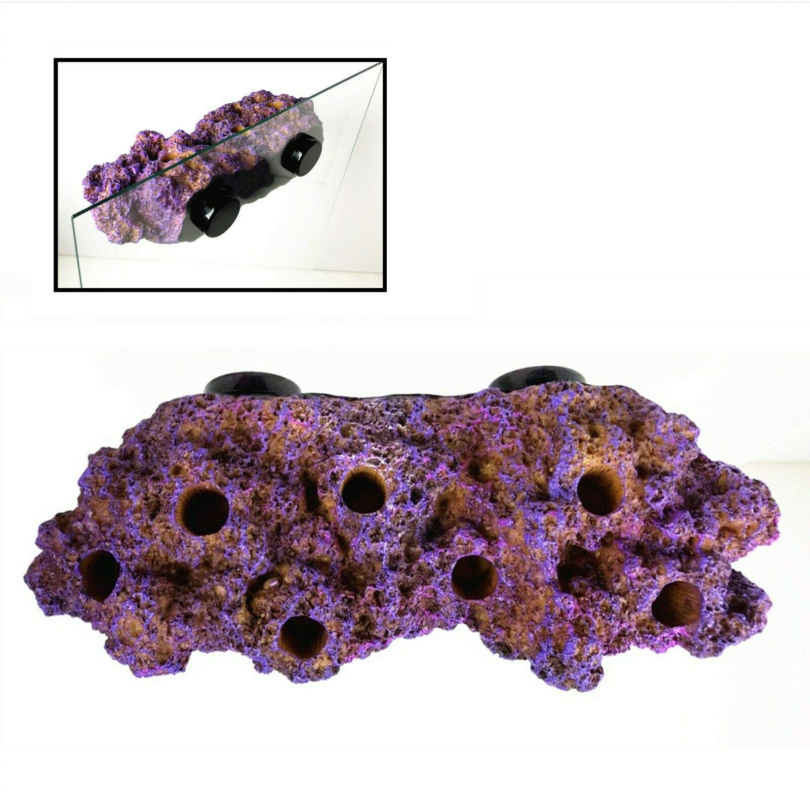 Reefing Art N52 magnets provide strong hold on half-inch glass for stability.