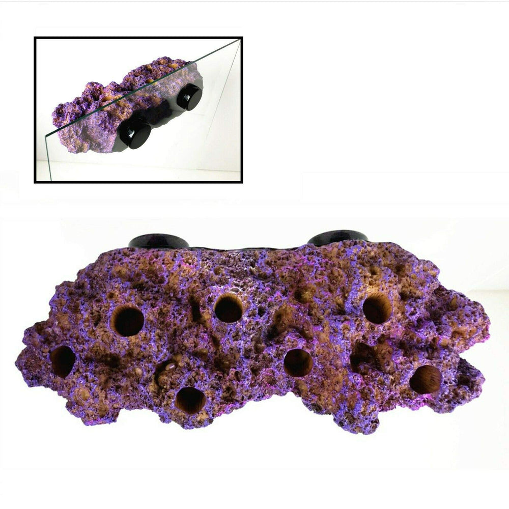 Reefing Art N52 magnets provide strong hold on half-inch glass for stability.