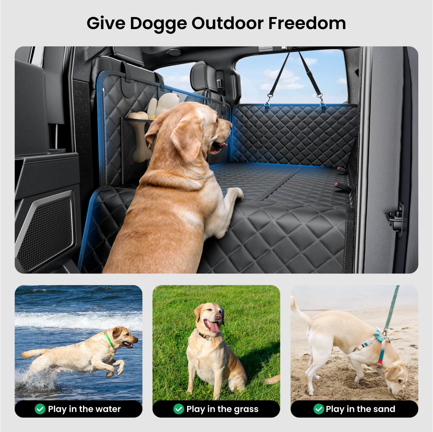REEVAA non-slip base keeps dogs steady through turns and bumps.