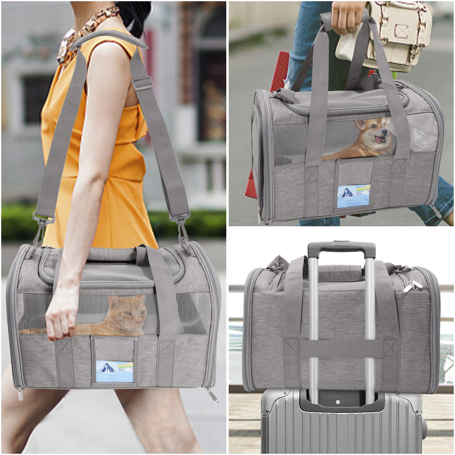 Refrze cat carrier features top and side zippered entries for easy loading.