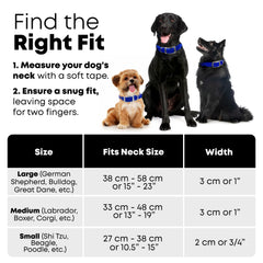 Regal Dog Products 5ft blue leash demonstrates comfortable control during outdoor adventures.