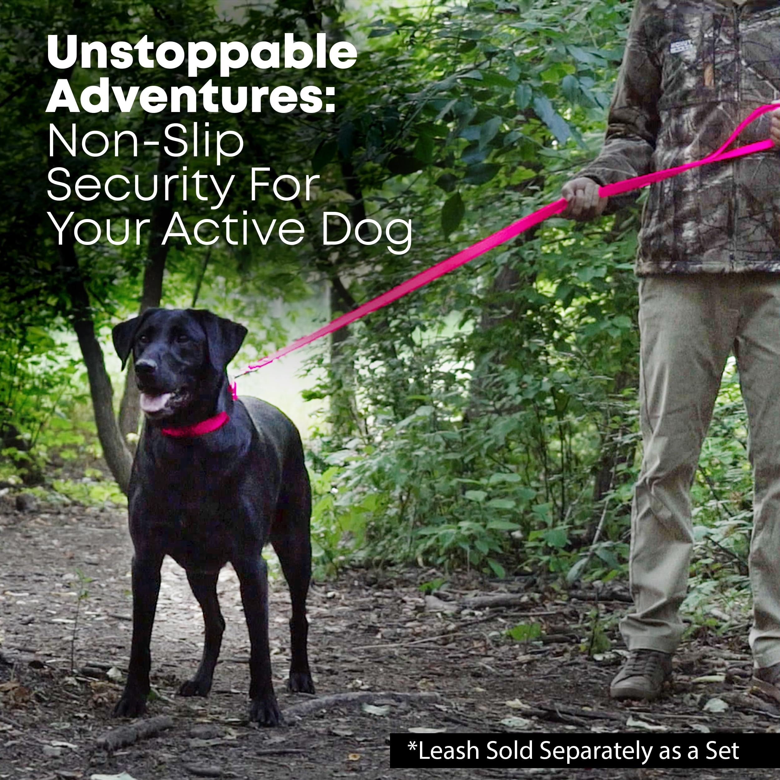 Regal Dog Products 5-foot leash in use during an outdoor walk.