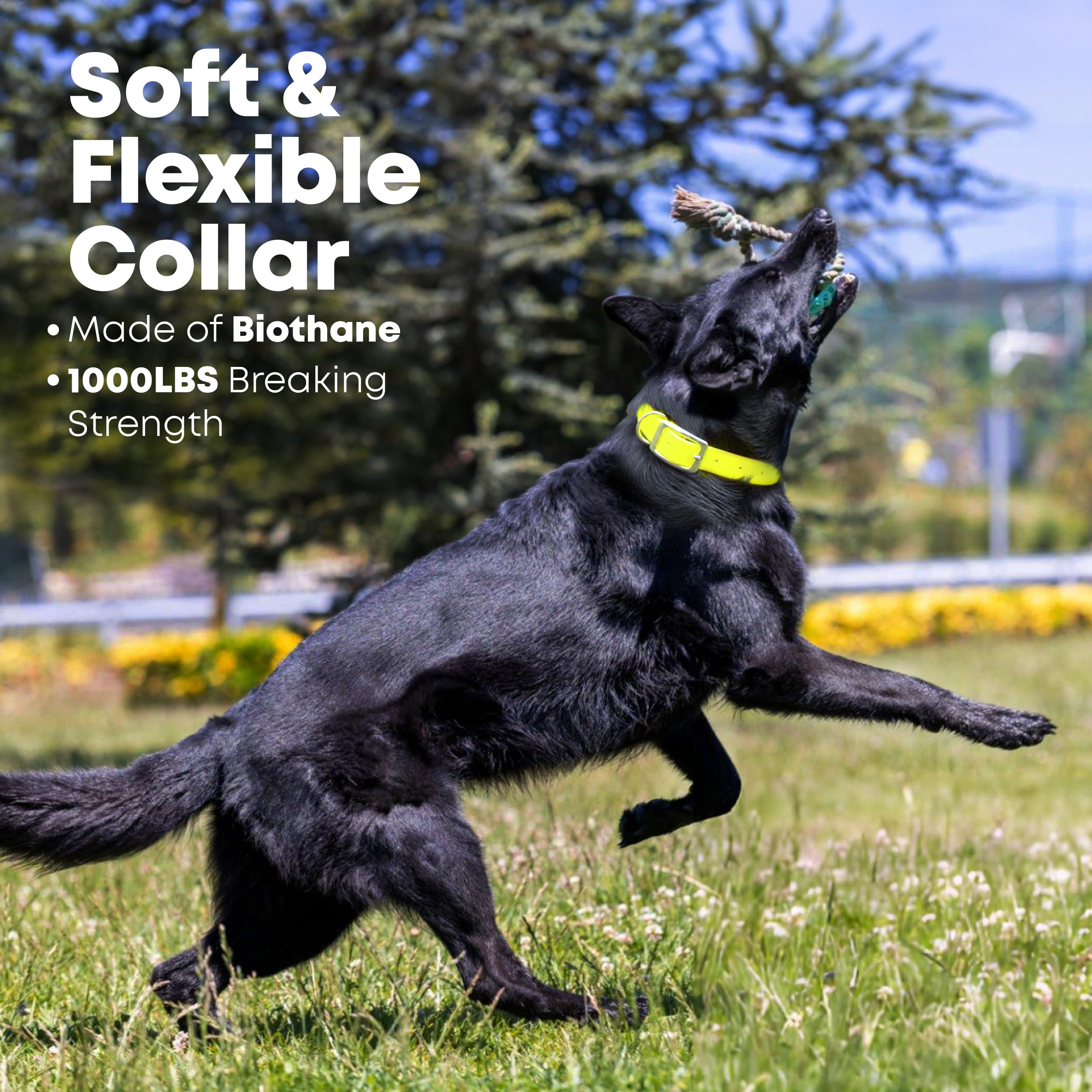 Regal Dog Products adjustable-fit collar covering 13 to 23 inches.