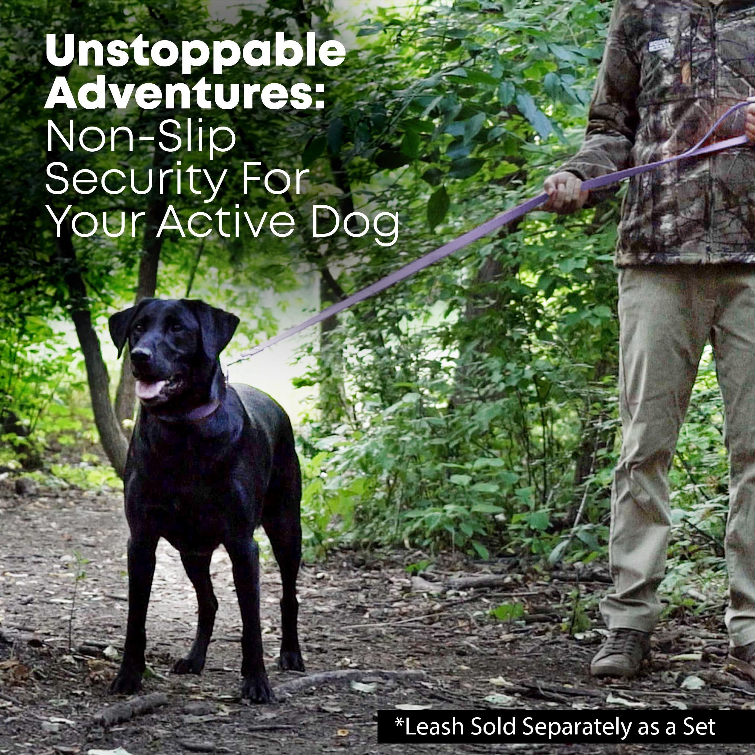 Regal Dog Products adjustable neck fit; 13–23 inches range