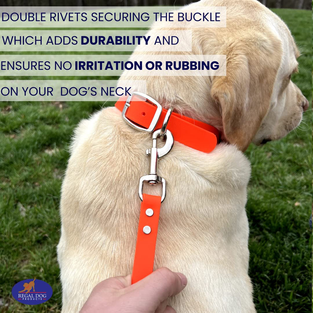 Regal Dog Products Biothane waterproof grip leash orange for wet conditions.
