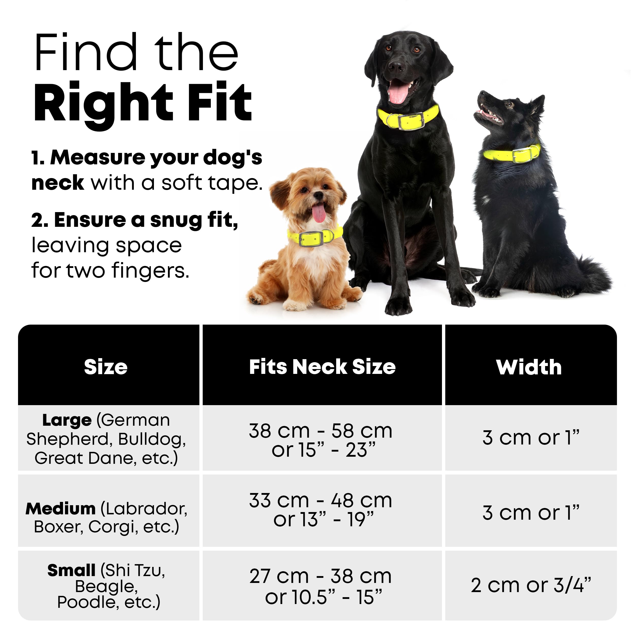 Regal Dog Products chew-resistant design suited for active dogs.