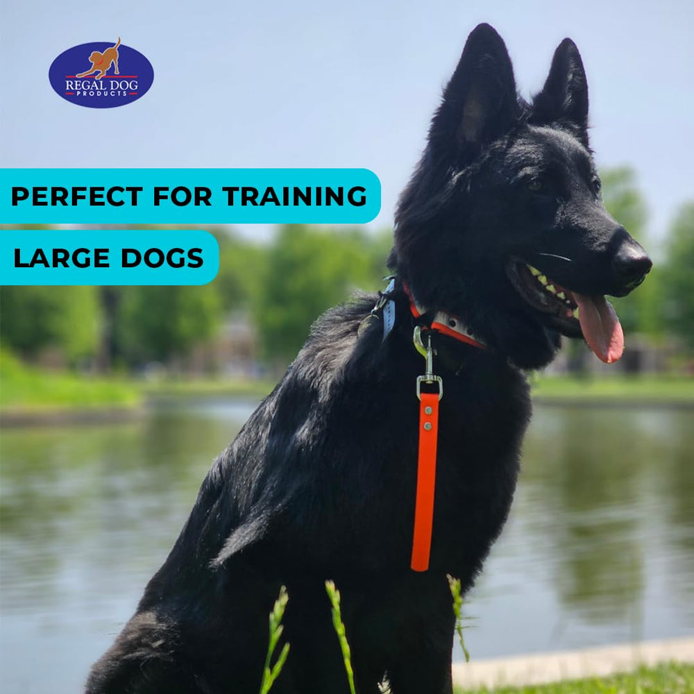 Regal Dog Products city-walk orange leash improves visibility in crowded spaces.