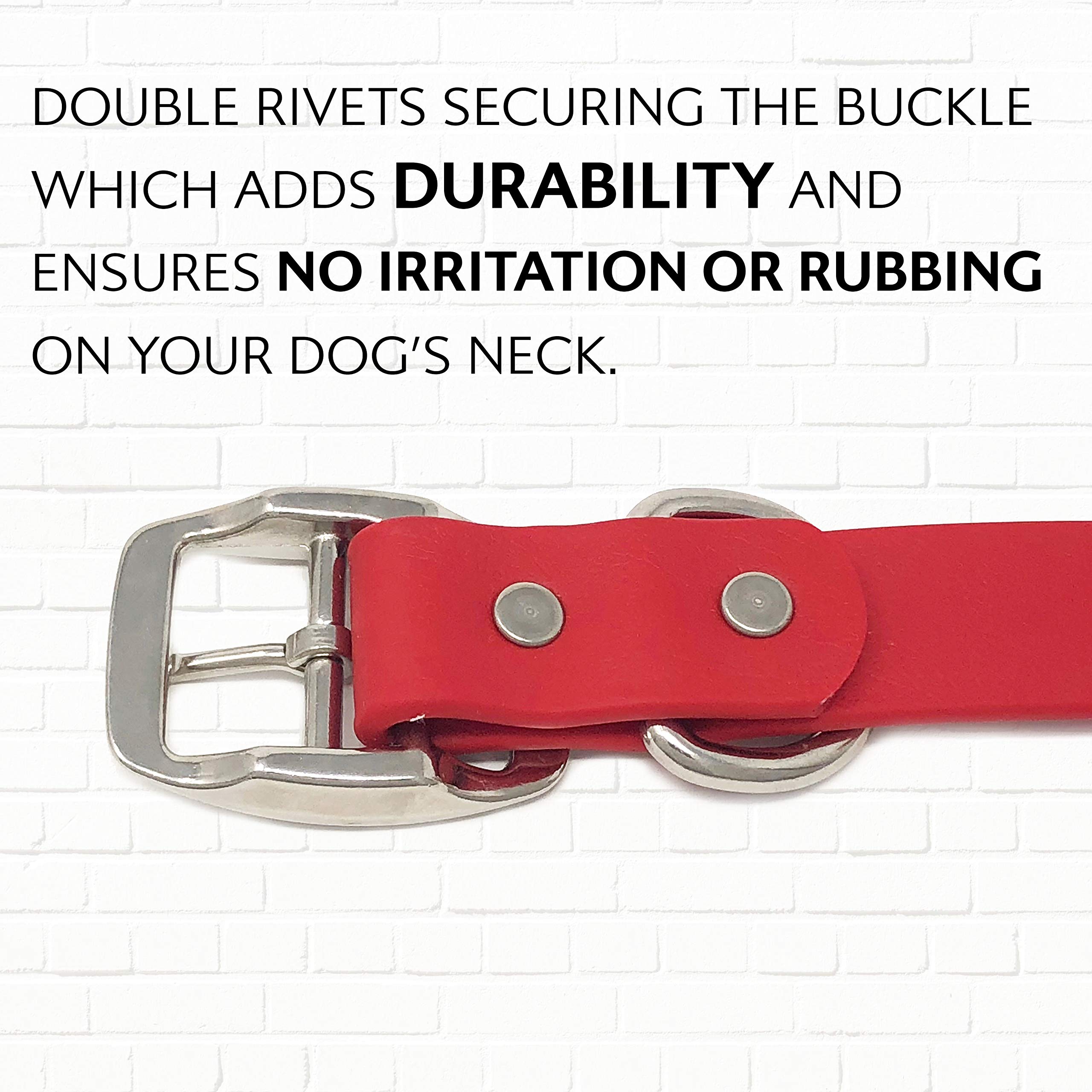 Regal Dog Products color options red blue green to fit personal style.