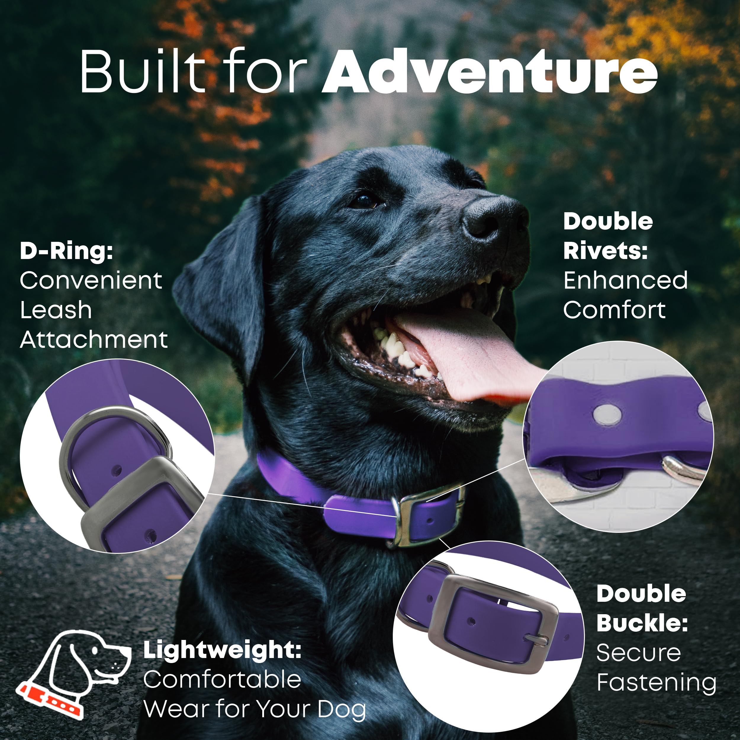 Regal Dog Products D-ring close-up showing ID tag attachment