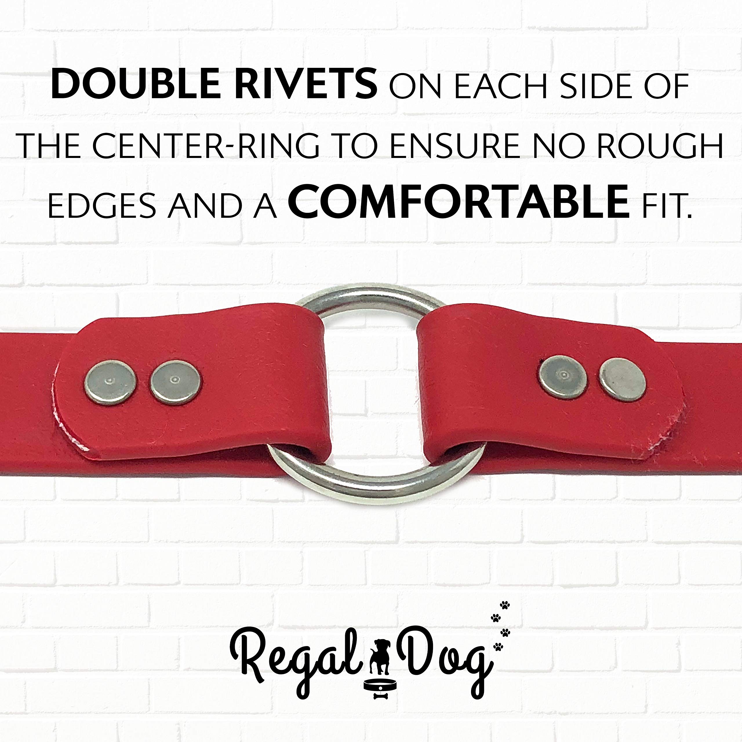 Regal Dog Products motion during walks highlights comfort and secure control.