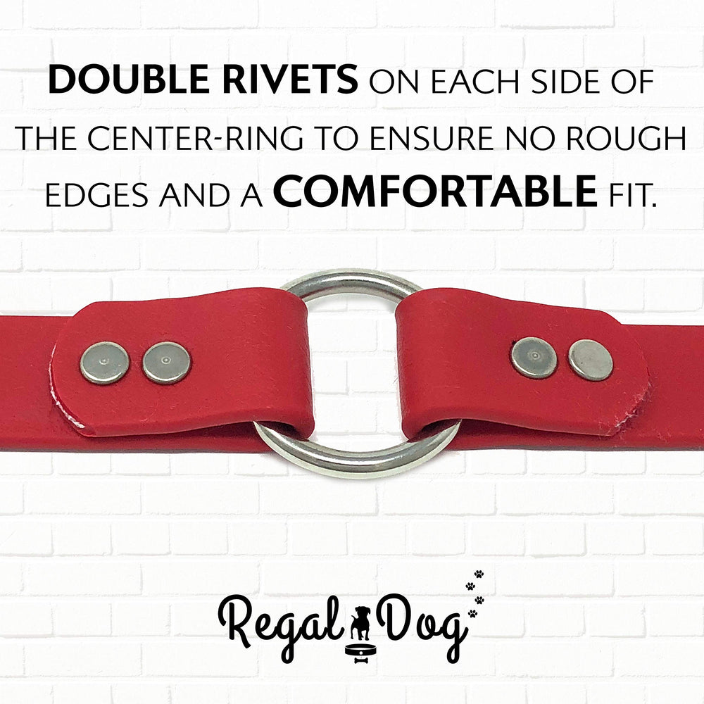 Regal Dog Products motion during walks highlights comfort and secure control.