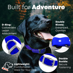 Regal Dog Products heavy-duty double buckle detail highlights rust-resistant hardware for long-lasting use.