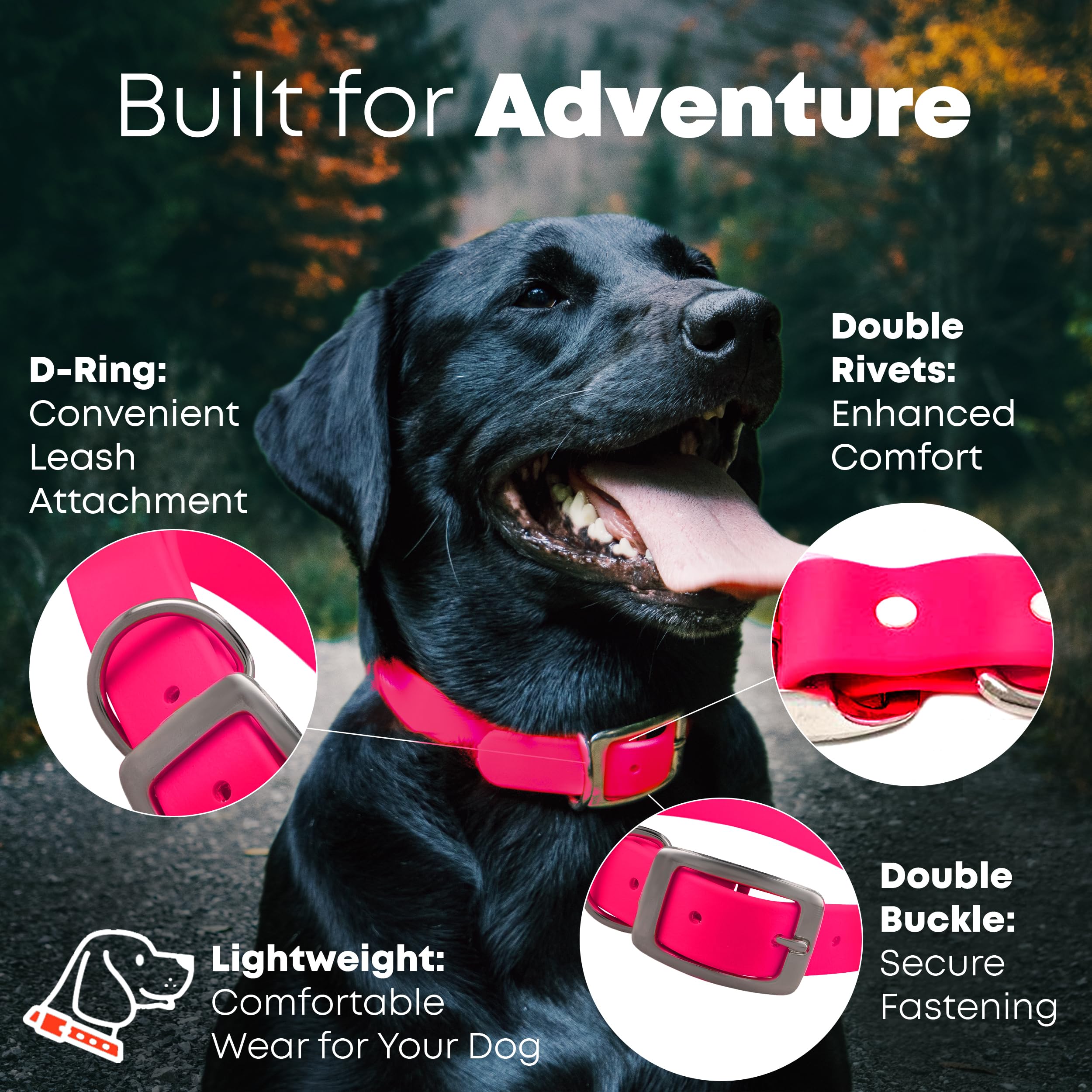 Regal Dog Products heavy-duty waterproof collar shown on a confident adventure dog.