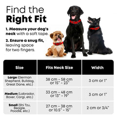 Regal Dog Products 5ft leash heavy-duty for reliable control on walks.