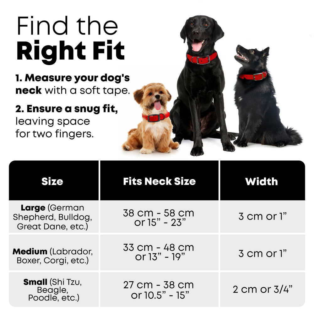 Regal Dog Products maintenance-friendly collar cleans easily with a damp cloth.