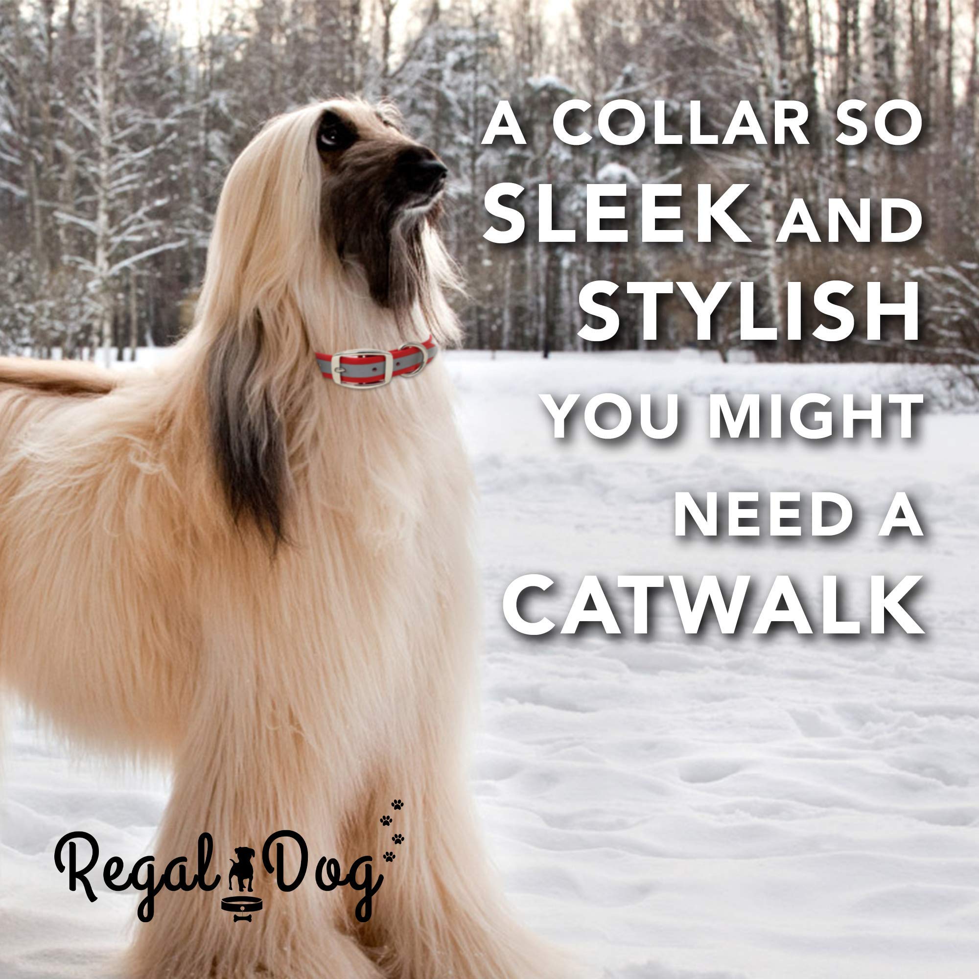 Regal Dog Products adjustable strap ensuring a comfortable fit for growing dogs