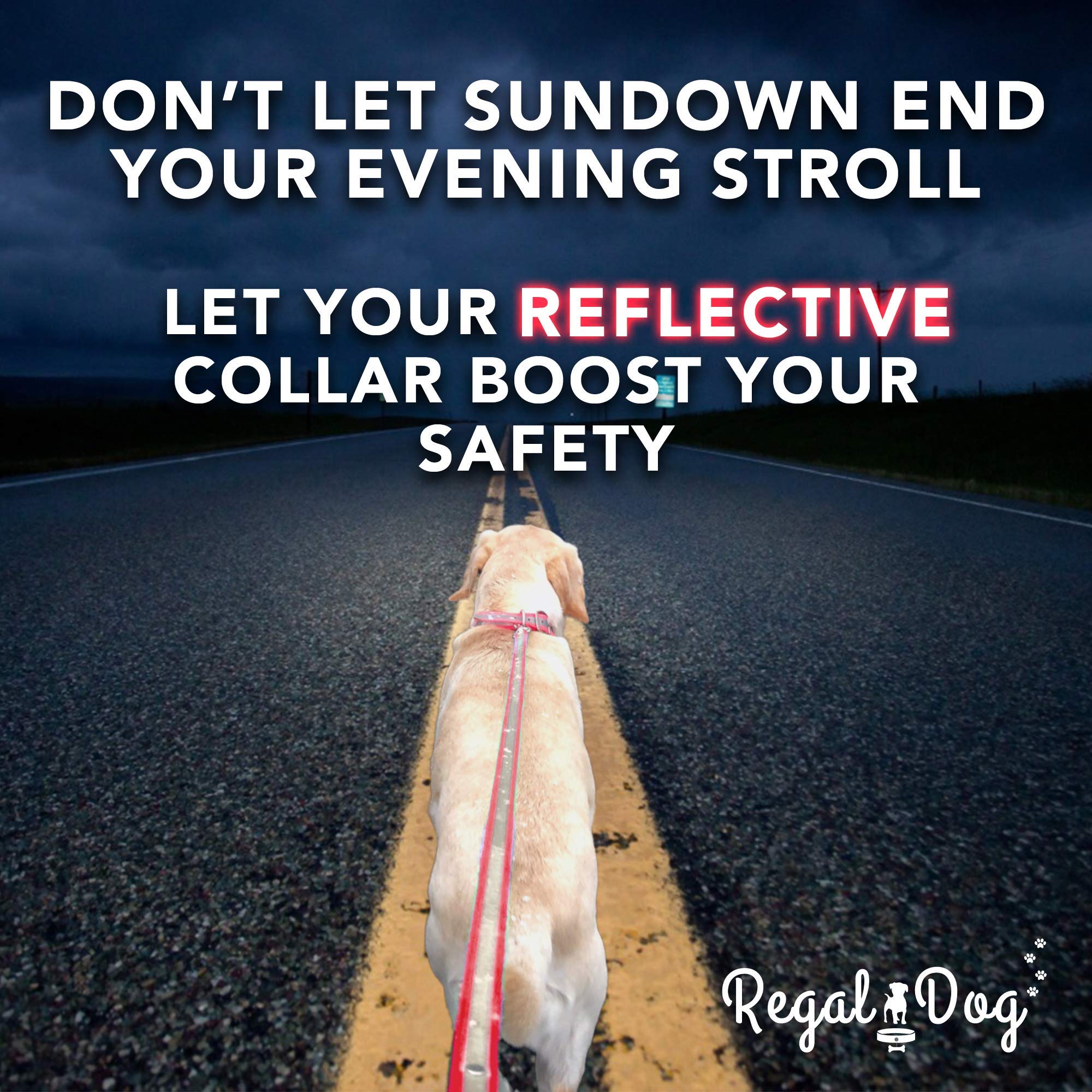 Regal Dog Products waterproof coating demonstrating easy cleaning after splashes