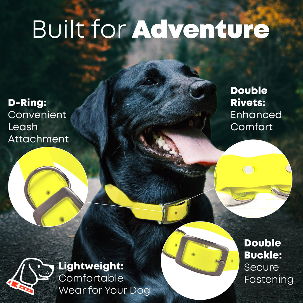 Regal Dog Products yellow collar with D-ring attachment for leash and ID.