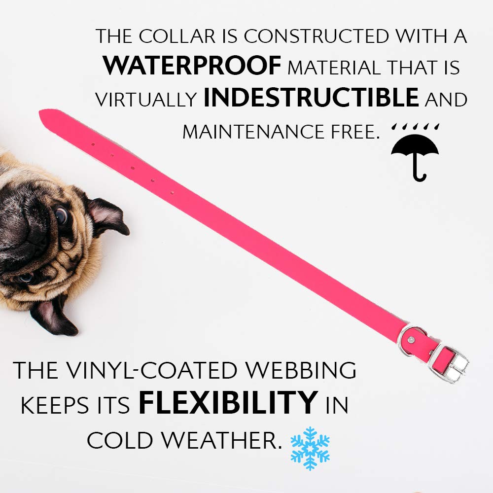 Regal Dog Products pink collar and leash color variation for style and quick identification.