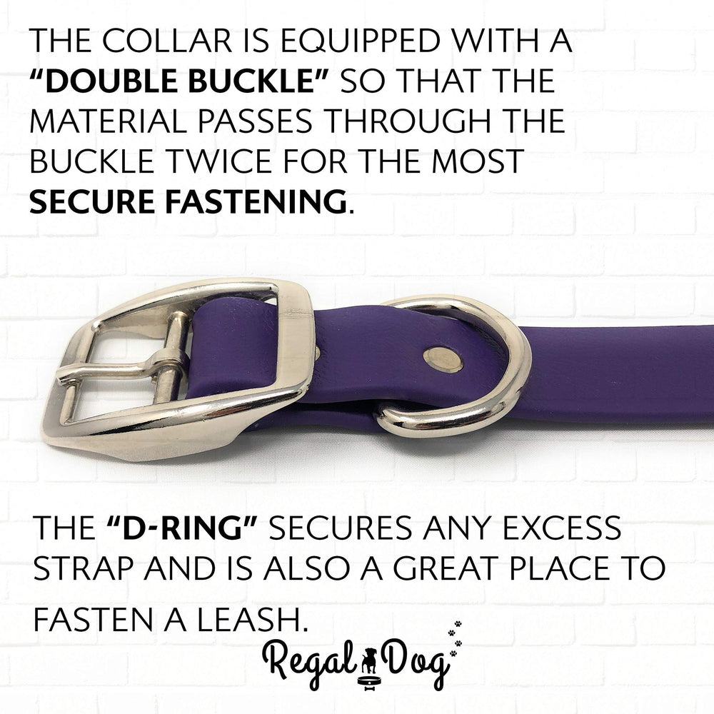 Regal Dog Products purple collar and leash set in park use