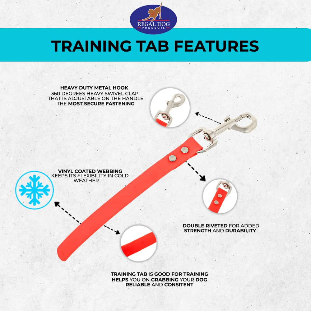 Regal Dog Products recall-training leash for controlled practice sessions.