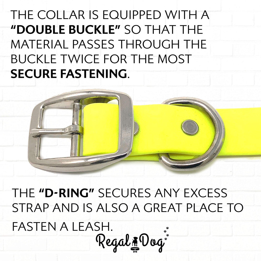 Regal Dog Products rust-resistant buckle detail reinforces durability in wet conditions