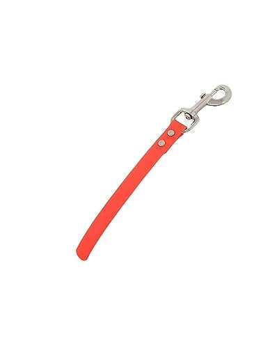 Regal Dog Products short dog leash orange grab tab for secure training.
