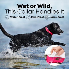 Regal Dog Products vinyl-coated webbing closeup emphasizing moisture resistance and easy cleaning.