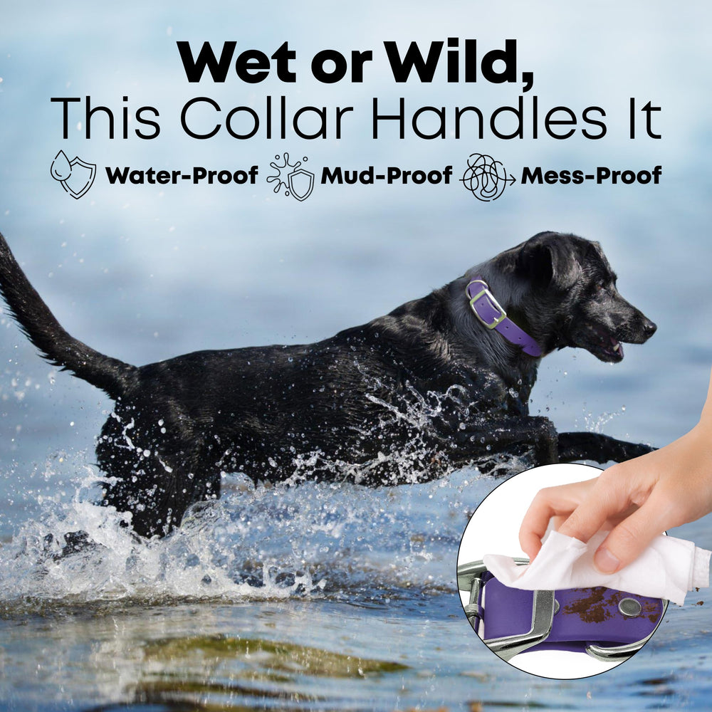 Regal Dog Products vinyl-coated webbing; waterproof and dirt-resistant