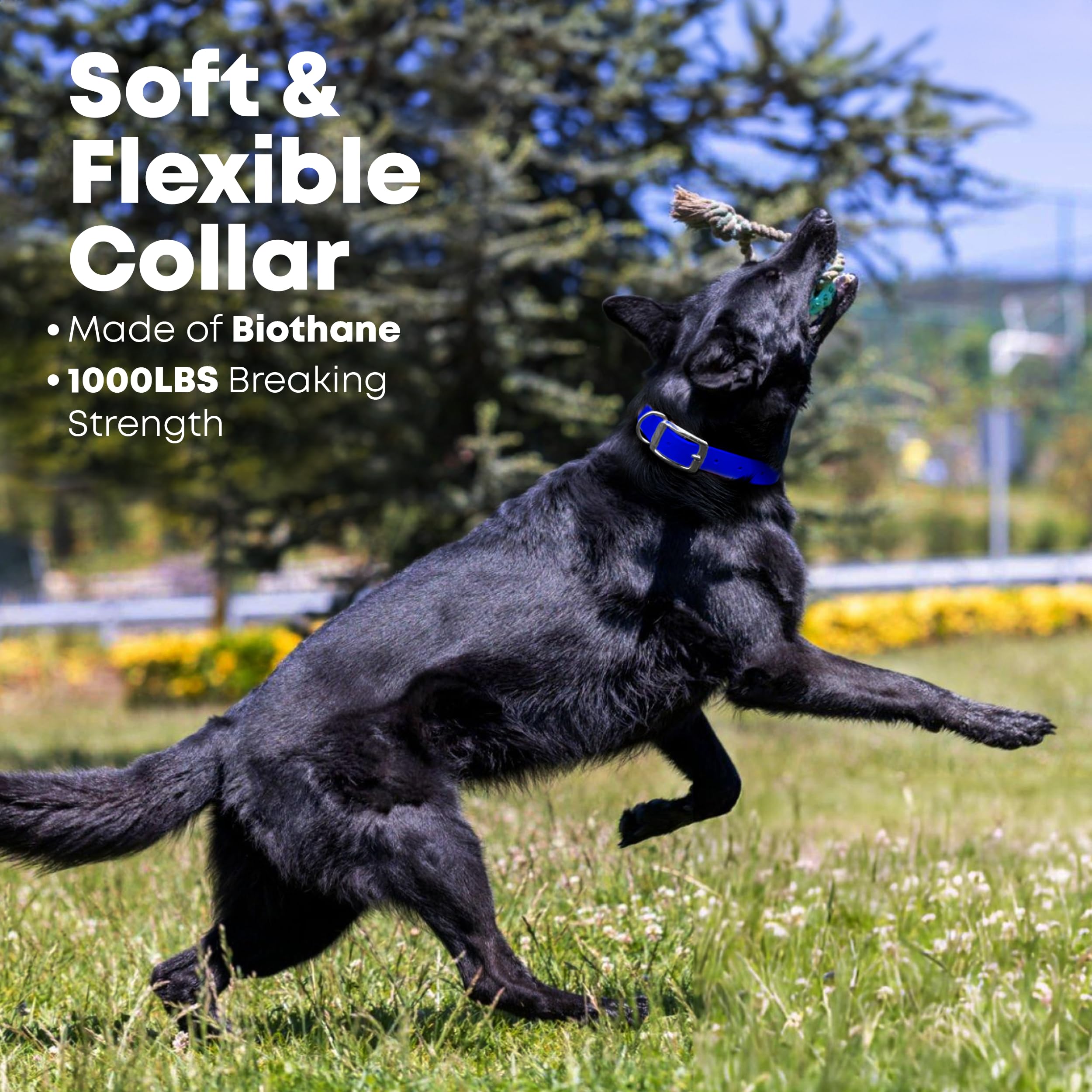 Regal Dog Products vinyl-coated webbing remains easy to clean and dirt-repellent after muddy adventures.