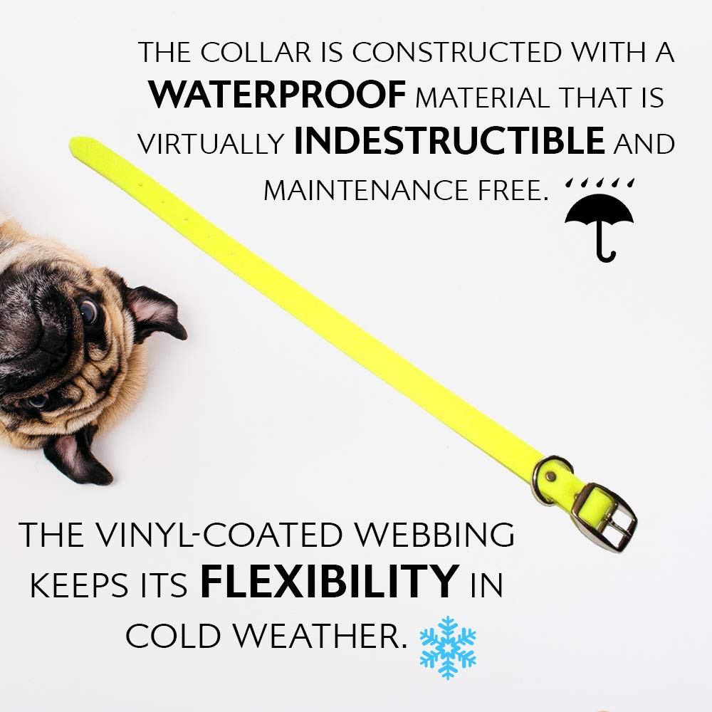 Regal Dog Products waterproof-cleaning image showcases easy wipe-down maintenance