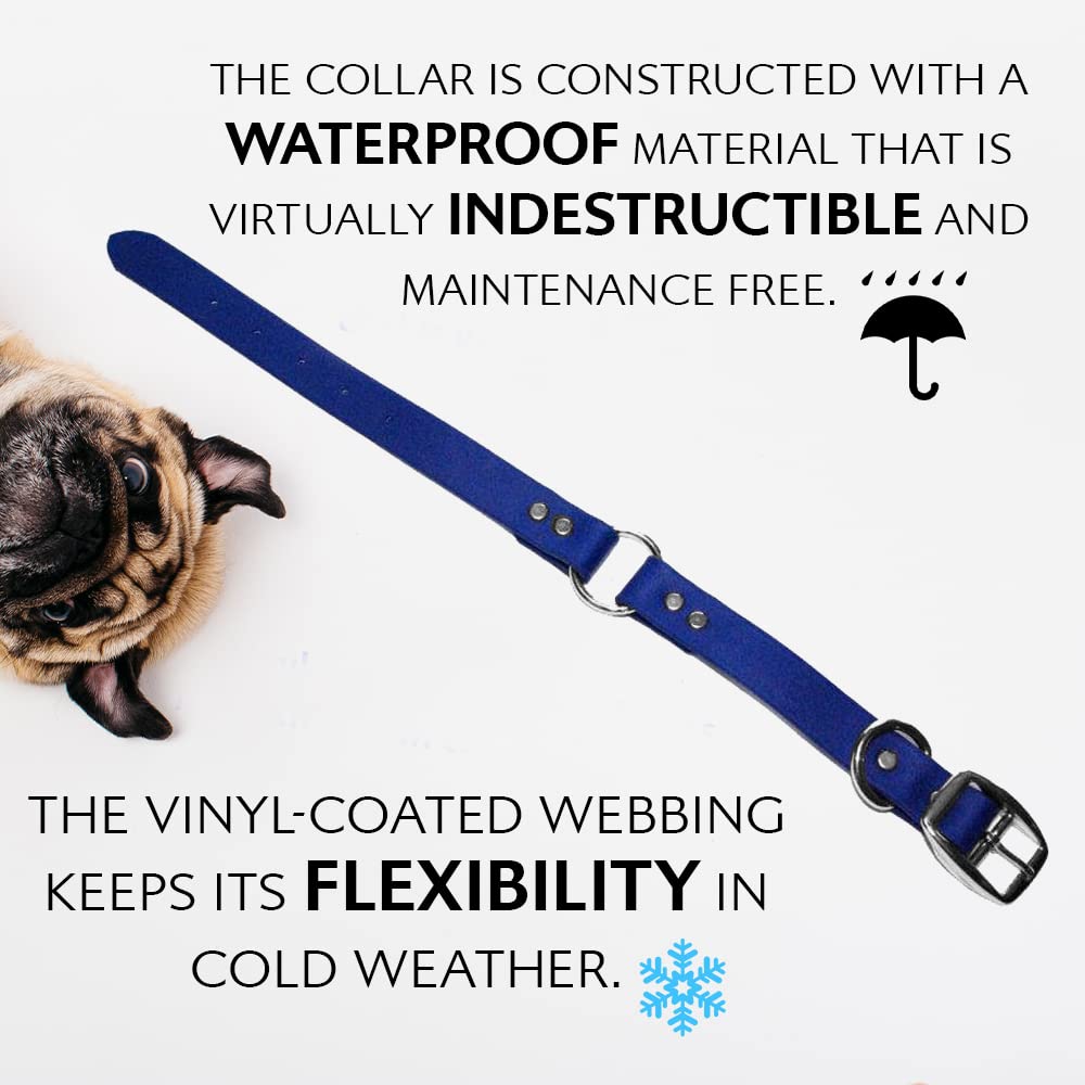 Regal Dog Products waterproof collar stays dry and clean, even after beach or bath time.