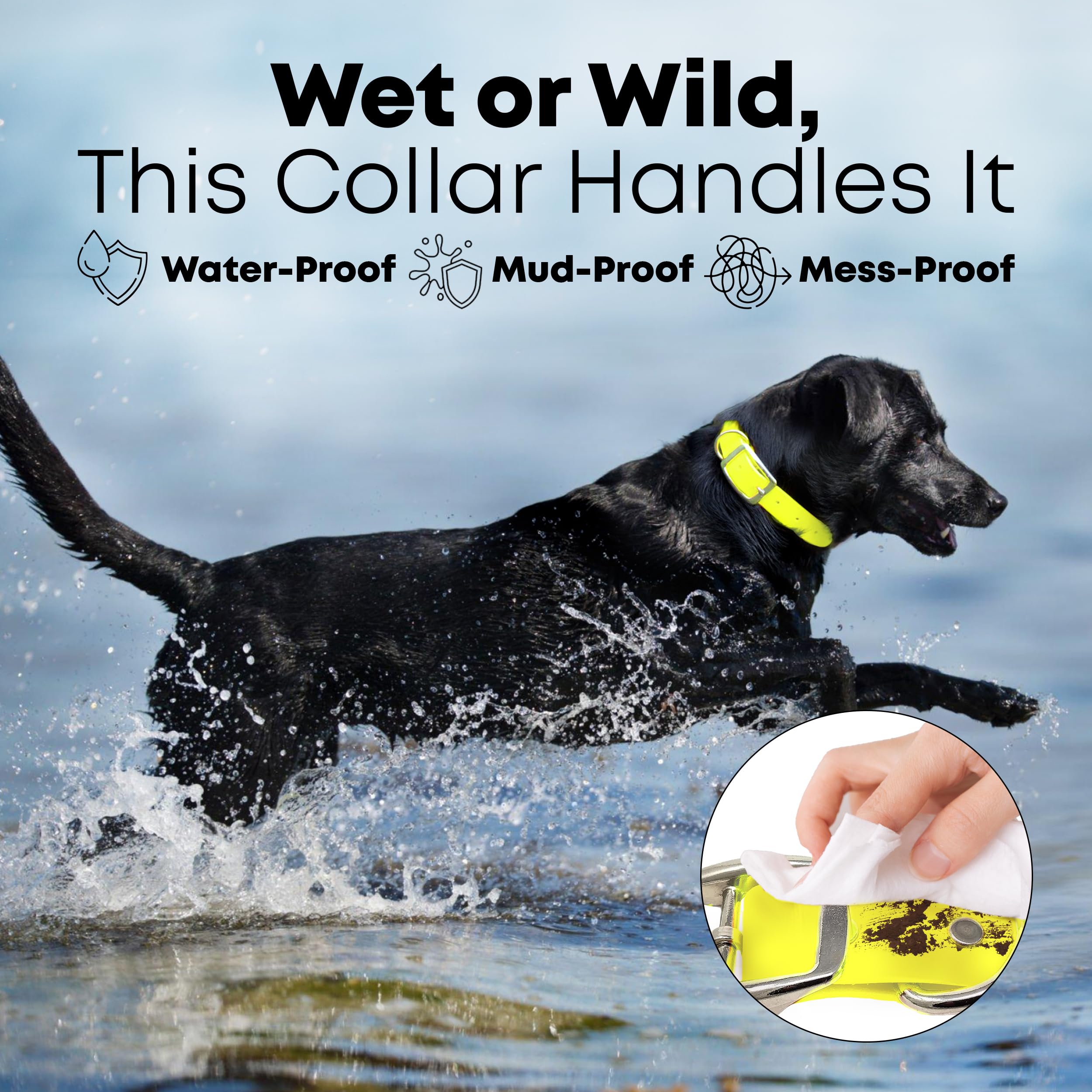 Regal Dog Products waterproof vinyl-coated collar dries quickly after water play.