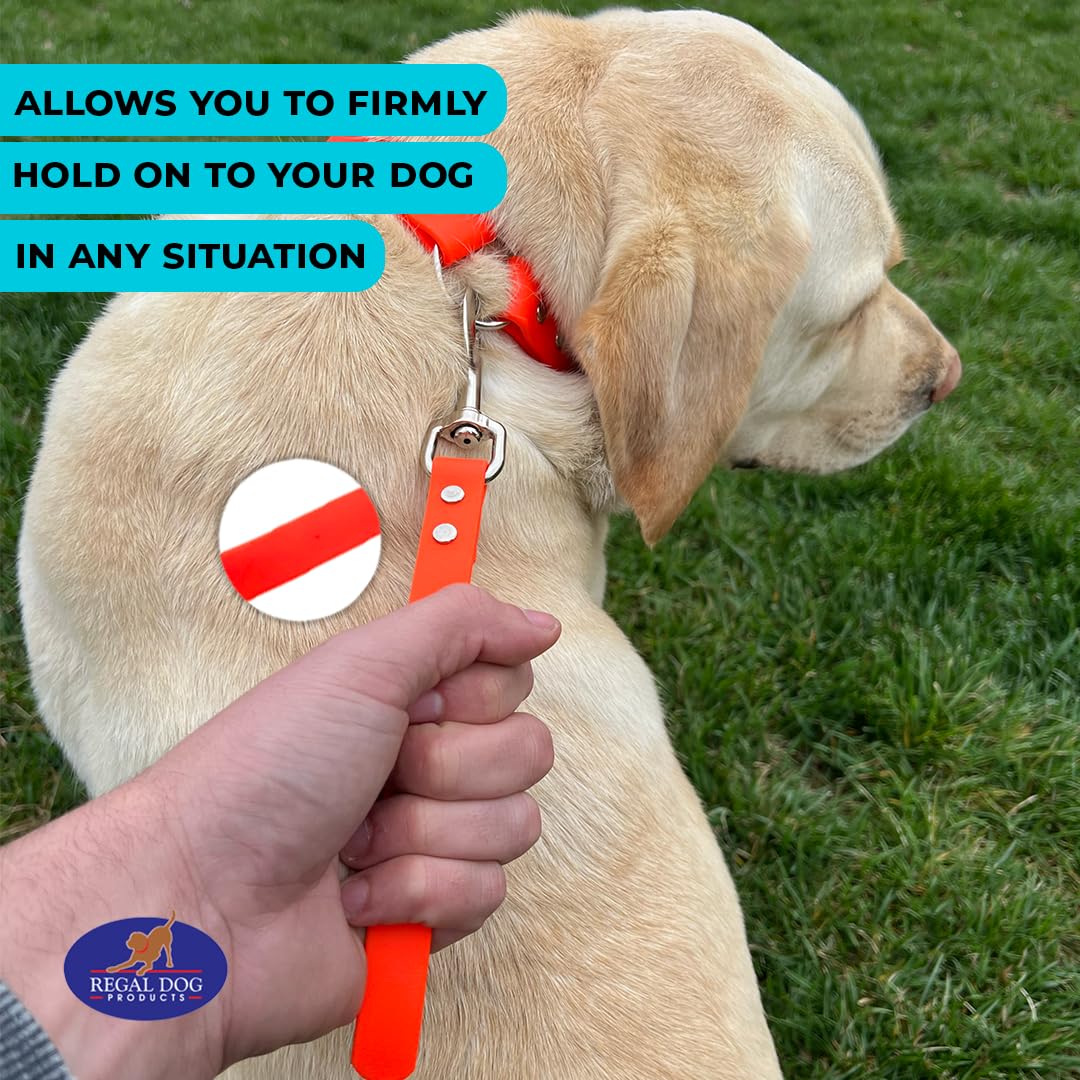 Regal Dog Products weave-pattern leash orange blends style with practicality.
